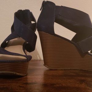 Blue and Brown Wedge Heels